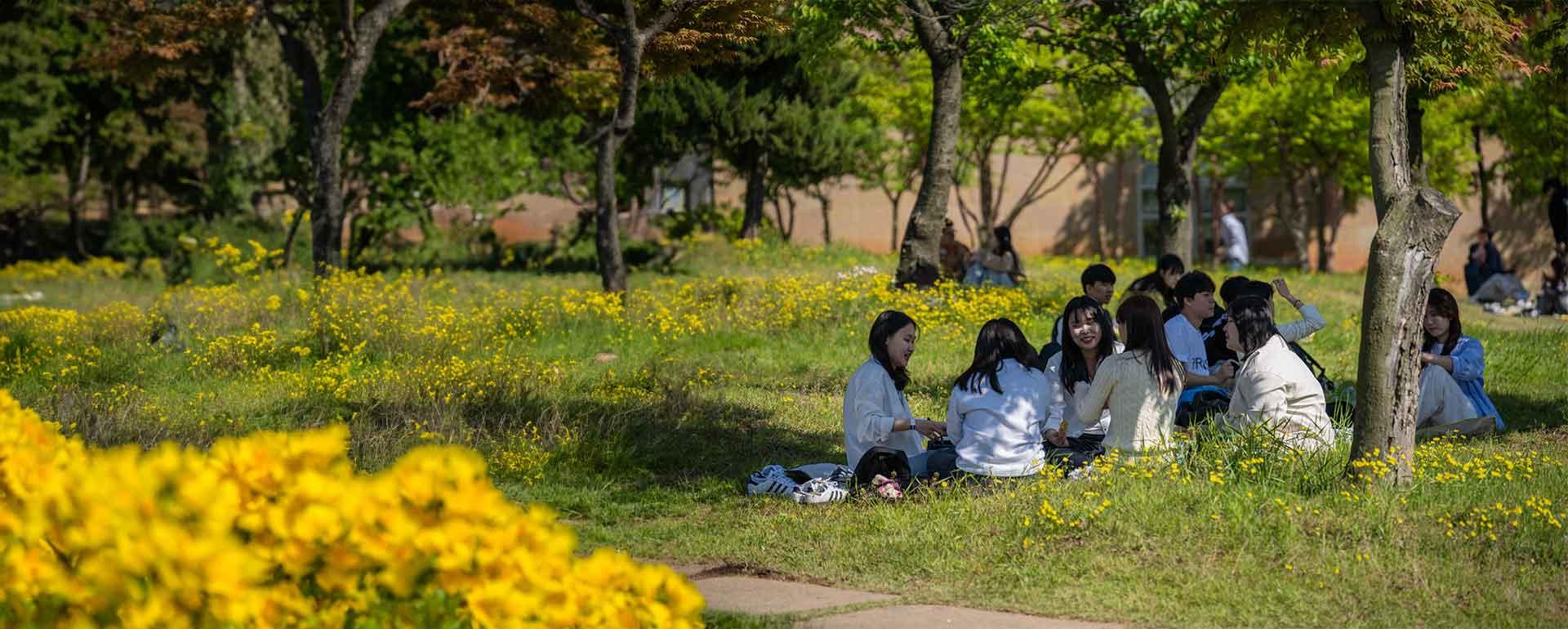 잔디밭 학생들 사진